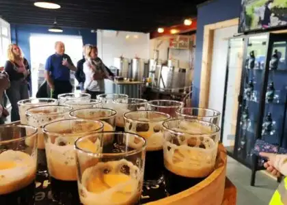 Brewery Tour, general tour & beer tasting