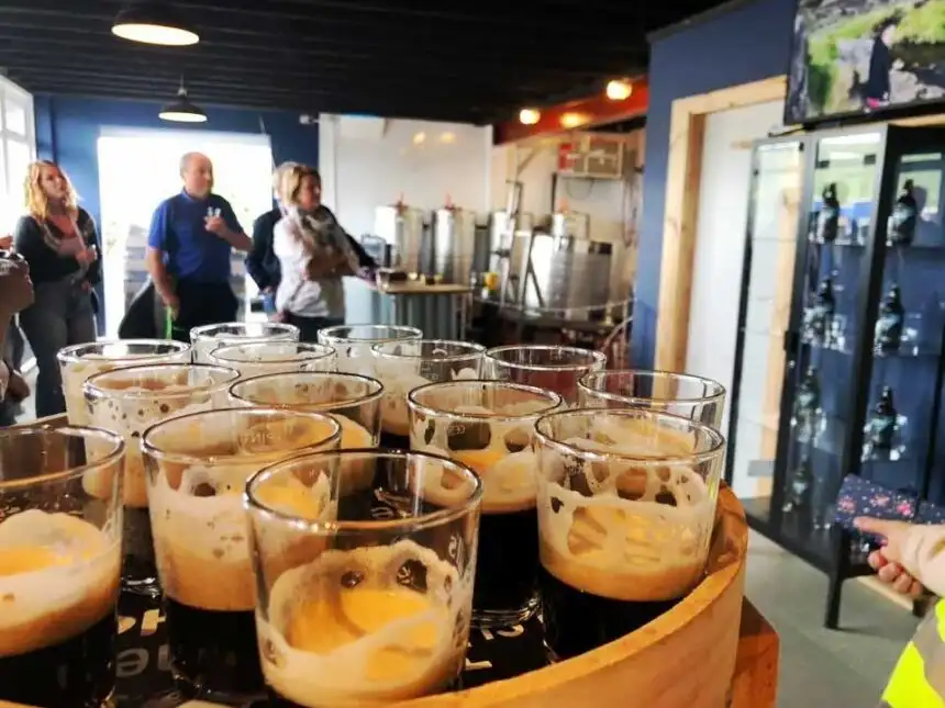 Brewery Tour, general tour & beer tasting