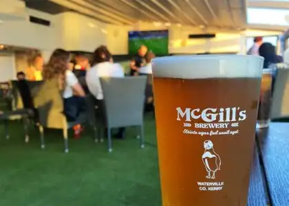 Irish Experience Tour, General tour but with learning Irish along the way